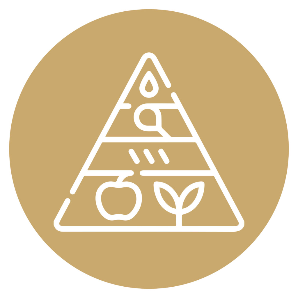 برامج غذائية مخصصة