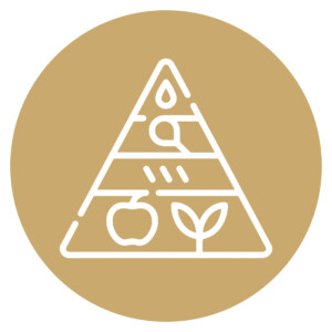 برامج غذائية مخصصة