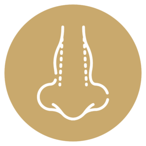 تجميل الأنف