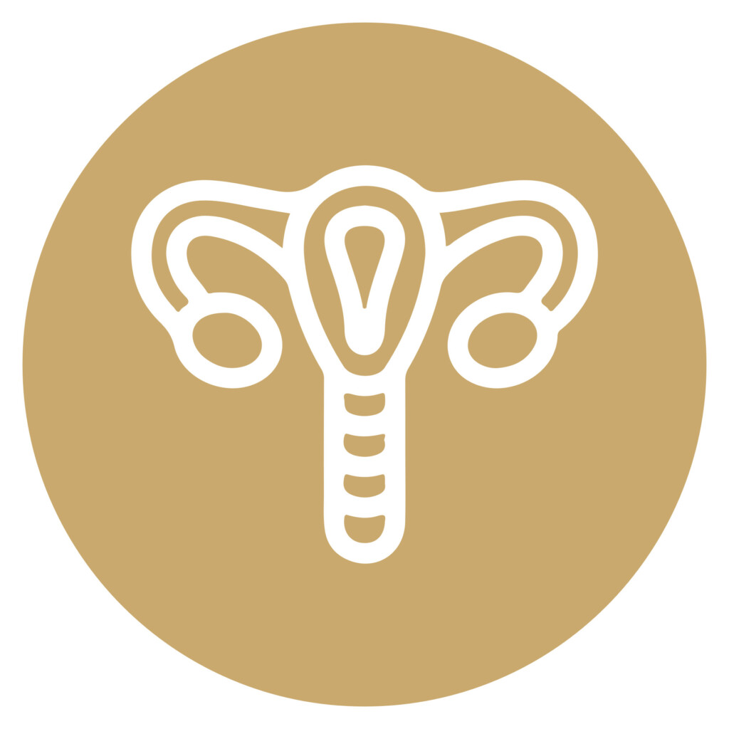 عمليات رفع هبوط المهبل وتوسع الرحم و المثانة و المستقيم