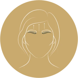 رفع الحواجب