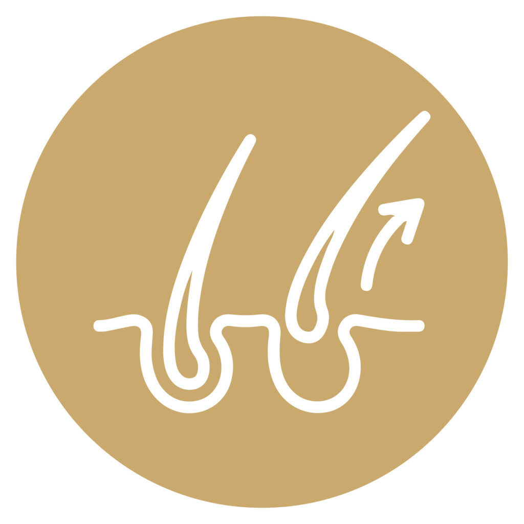 علاج تساقط الشعر